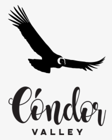 Condor Png , Png Download - Condor Png, Transparent Png, Transparent PNG