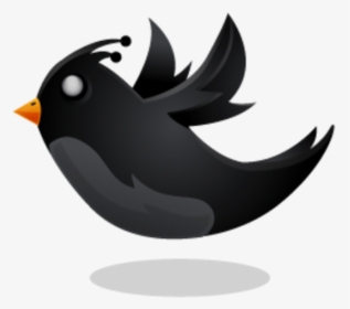 Black Twitter Bird, HD Png Download, Transparent PNG