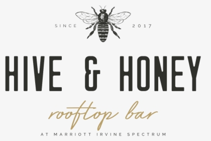 Hive And Honey Logo, HD Png Download, Transparent PNG