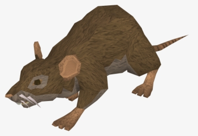 Bull, HD Png Download, Transparent PNG