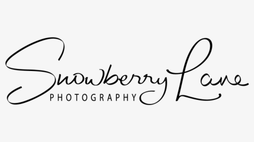 Snowberry Lane Photography Logo - Calligraphy, HD Png Download, Transparent PNG