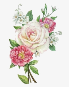 Pink Flowers Png Free Photo Clipart - Цветы На Белом Фоне, Transparent Png, Transparent PNG