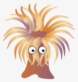 Sea Anemone Clipart, HD Png Download, Transparent PNG