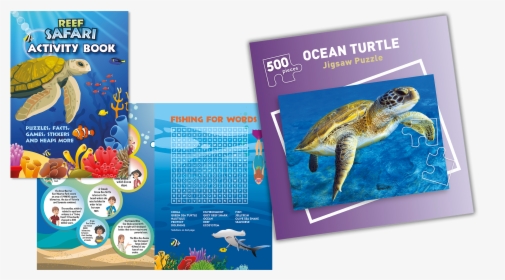 Loggerhead Sea Turtle, HD Png Download, Transparent PNG