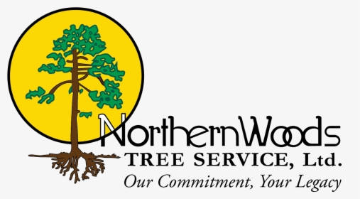 Northern Woods Tree Service Logo - Tree, HD Png Download, Transparent PNG