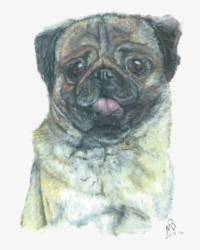 Pug Dog Pencil Dogs - Pug Png Artworks, Transparent Png, Transparent PNG