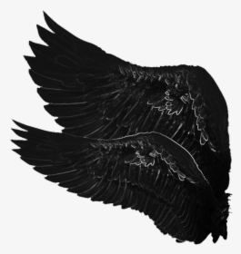 #dark #angel #wings #heartofdarkness #angelofdarkness - Eagle, HD Png Download, Transparent PNG