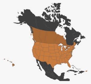 Map Of Mcg Architecture Services In North America - Age Of Consent Us, HD Png Download, Transparent PNG