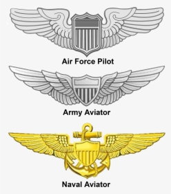 Aviation Wings - Navy Air Force Wings, HD Png Download, Transparent PNG