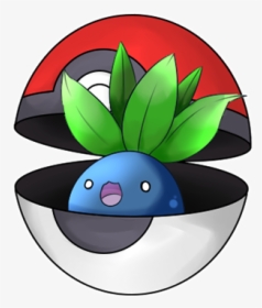 Bilberry, HD Png Download, Transparent PNG