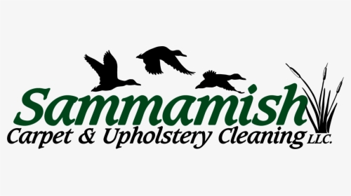 Sammamish Carpet Cleaning & Upholstery - Bird Of Prey, HD Png Download, Transparent PNG