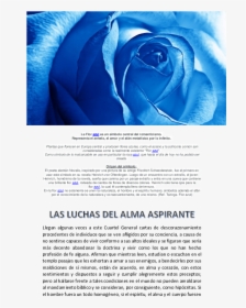 Transparent Flores Azules Png - Blue Rose Cover Photos For Facebook, Png Download, Transparent PNG