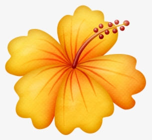 Orange Hibiscus Clipart, HD Png Download, Transparent PNG