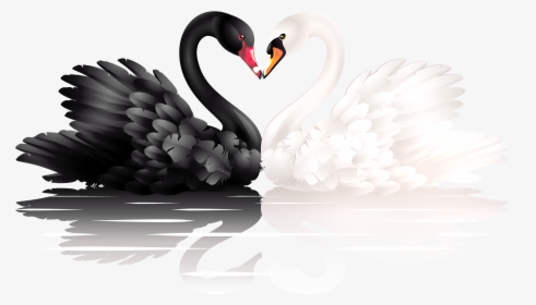 Black And White Png Of Shapes - White And Black Swan, Transparent Png, Transparent PNG
