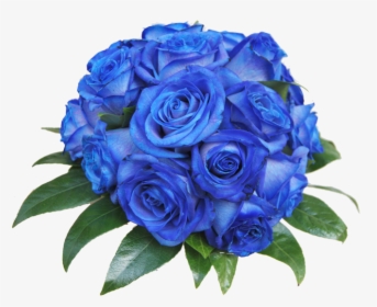 Blue Rose, HD Png Download, Transparent PNG