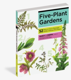 Cover - Uae Garden Plants, HD Png Download, Transparent PNG