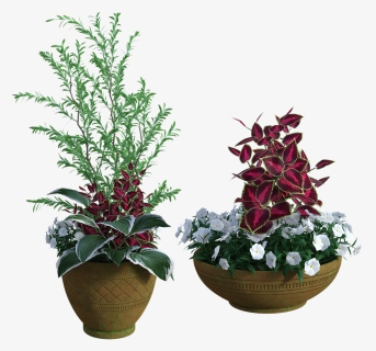 Potted, Plants, Green, Garden, Grow, Pots, Flowers - Houseplant, HD Png Download, Transparent PNG