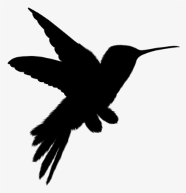 Cute Birds Png Transparent Images - Hummingbird, Png Download, Transparent PNG