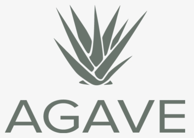 Transparent Agave Png - The James At Sugarloaf By Cortland, Png Download, Transparent PNG