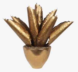 Goldagave Copy - Brass, HD Png Download, Transparent PNG