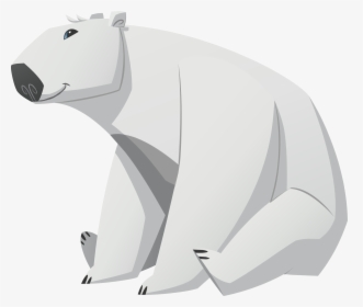 Polar White Bear Png - Draw Animal Jam Polar Bear, Transparent Png, Transparent PNG