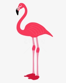 Free Png Download Flamingo Png Images Background Png - Transparent Background Flamingo Png, Png Download, Transparent PNG