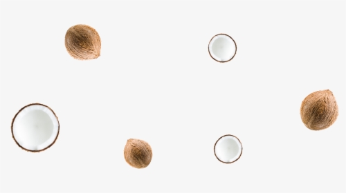 Circle, HD Png Download, Transparent PNG