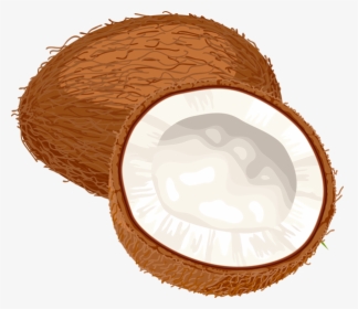 Coconuts Png Image - Transparent Background Coconut Clipart, Png Download, Transparent PNG