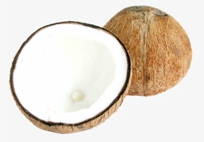 Half Coconut Png, Transparent Png, Transparent PNG
