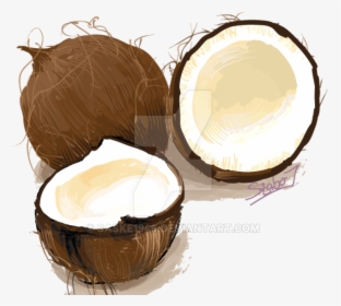 Coconuts Vector Illustration - Cake, HD Png Download, Transparent PNG
