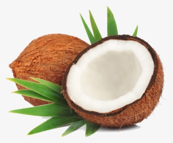 Coconut Transparent File - Transparent Background Coconut Png, Png Download, Transparent PNG