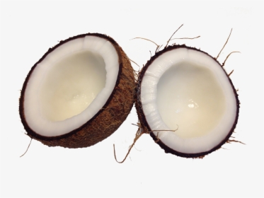 Kokosnuss Png, Transparent Png, Transparent PNG