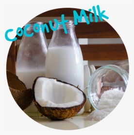 Coconut Oil Powder, HD Png Download, Transparent PNG