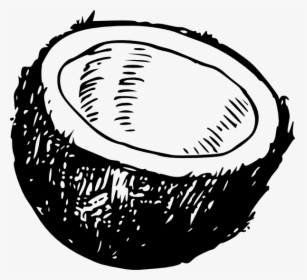 Coconut Black And White, HD Png Download, Transparent PNG