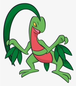 Pokemon Grovyle, HD Png Download, Transparent PNG