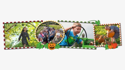 Transparent Hay Ride Clipart - Pumpkin, HD Png Download, Transparent PNG