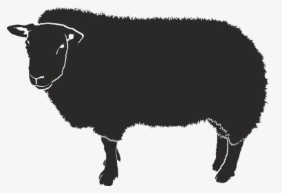 Sheep, Silhouette, Black, Isolated Form, Animal, Shadow - Sheep Shadow, HD Png Download, Transparent PNG