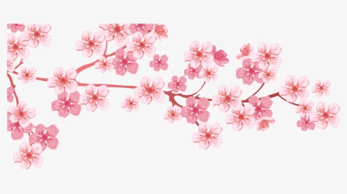 Transparent Cherry Blossom Tree Png - Cherry Blossom Tree Branch Png, Png Download, Transparent PNG