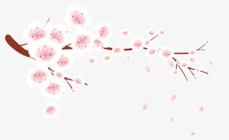 Petal, Blossom, Plum Blossom, Pink, Flower Png Image - Cherry Blossom Plum Blossom Flower, Transparent Png, Transparent PNG