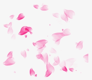 Transparent Cherry Blossom Png - Transparent Background Pink Rose Petals Png, Png Download, Transparent PNG