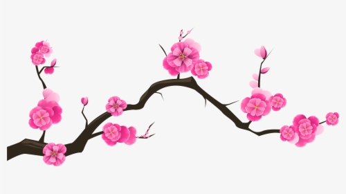 Kunstbilder, Clipart, Bunte Zeichnungen, Geld, Molde, - Transparent Background Cherry Blossom Branch Clipart, HD Png Download, Transparent PNG