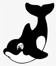 Orca Whale Clipart - Killer Whale Cartoon Drawing, HD Png Download, Transparent PNG