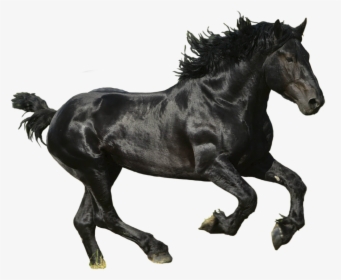 Lil Nas X Old Town Road Album, HD Png Download, Transparent PNG