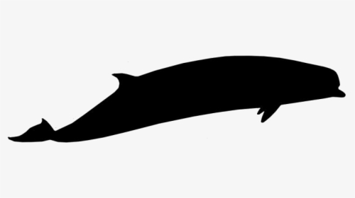 Cute Whale Png With Transparent Background - Whale, Png Download, Transparent PNG
