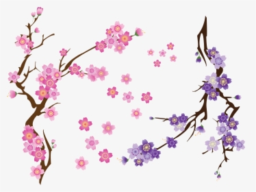 Transparent Cherry Blossom Clip Art - Cherry Blossom Flower Vector Free, HD Png Download, Transparent PNG