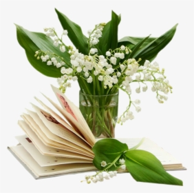 Transparent Lily Of The Valley Png - Tubes Png 1er Mai, Png Download, Transparent PNG
