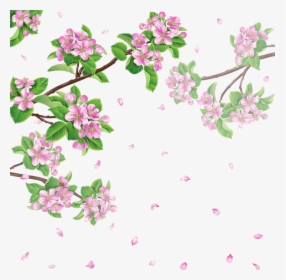 Spring Flower Cherry Blossom - Spring Is God's Way Of Showing, HD Png Download, Transparent PNG