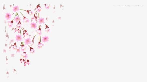 Cherry Blossom Leaves Falling Png - Falling Cherry Blossom Png, Transparent Png, Transparent PNG
