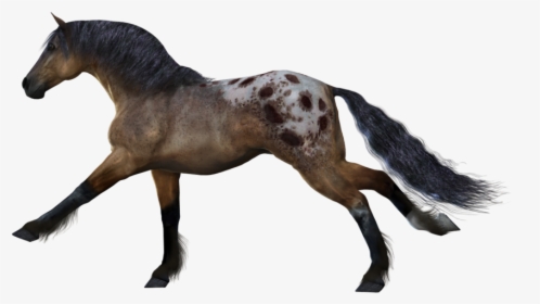Download For Free Horse Transparent Png Image - Horse Running No Background, Png Download, Transparent PNG