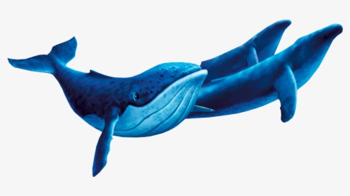 Transparent Cute Whale Png - Humpback Whale Fantasia 2000, Png Download, Transparent PNG